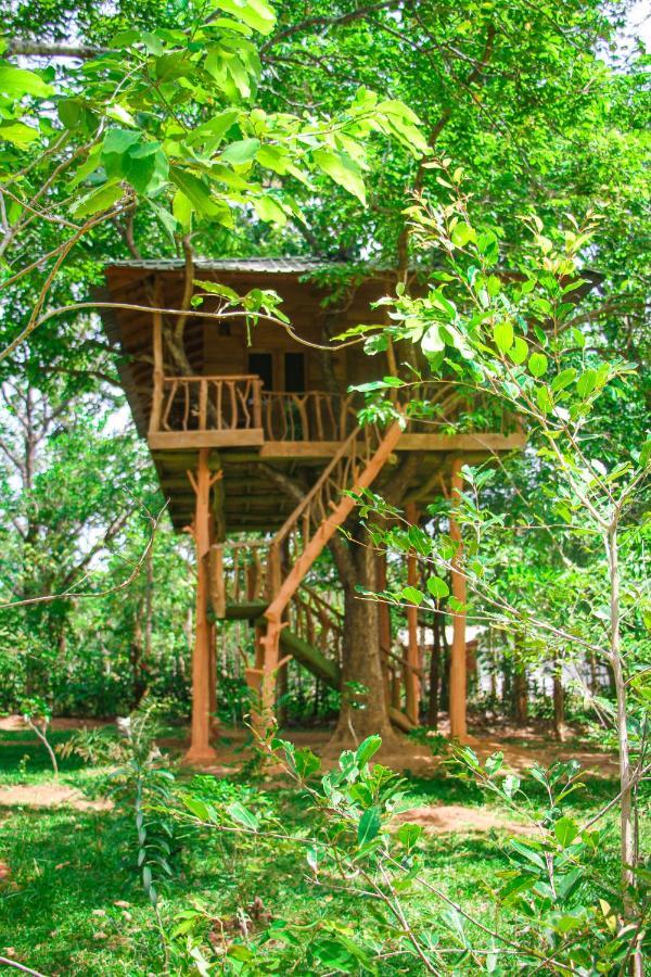 Lotus Eco Villa Sigiriya Luaran gambar