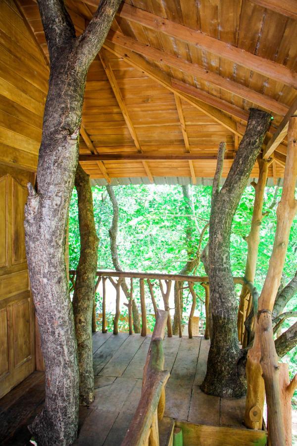 Lotus Eco Villa Sigiriya Luaran gambar