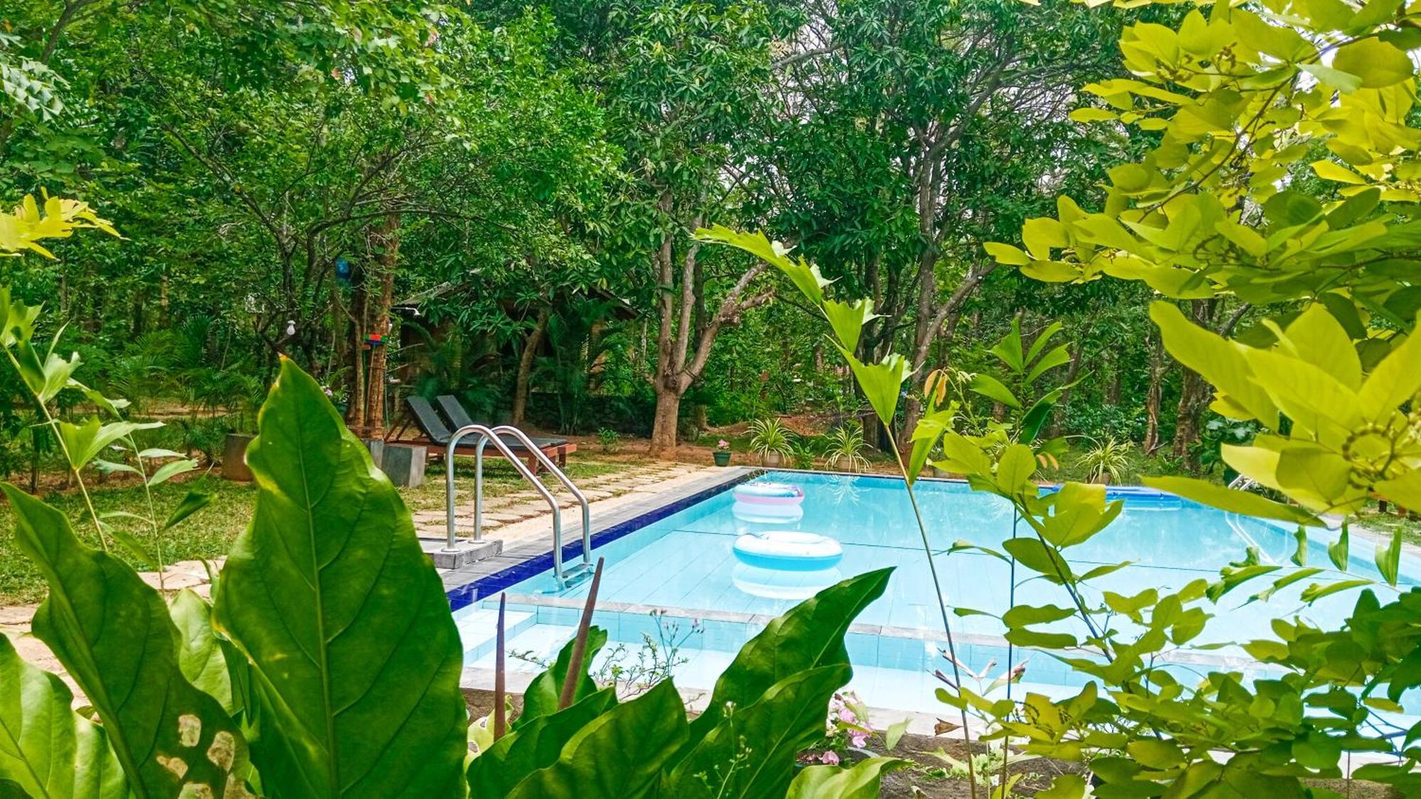 Lotus Eco Villa Sigiriya Luaran gambar