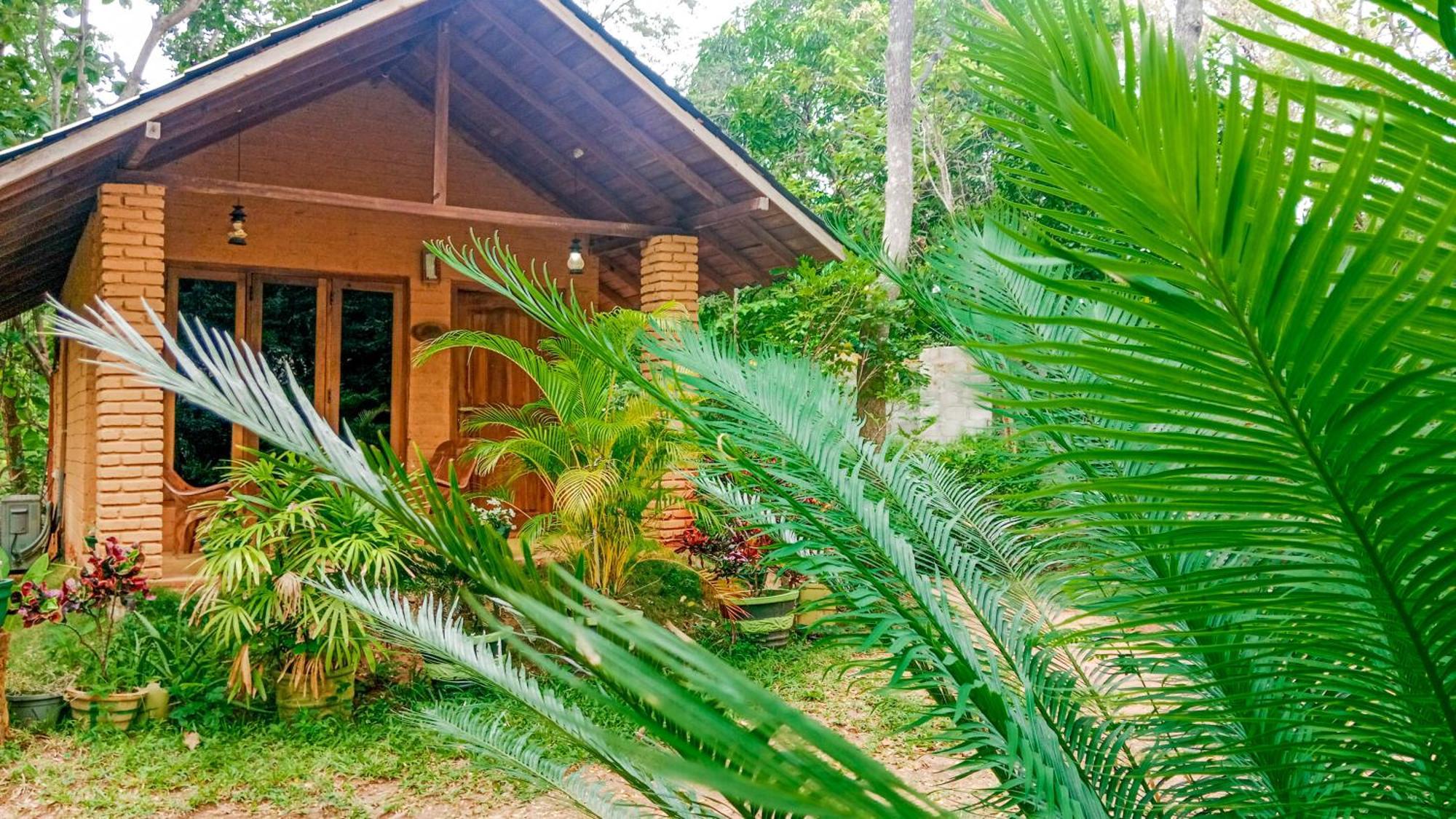 Lotus Eco Villa Sigiriya Luaran gambar