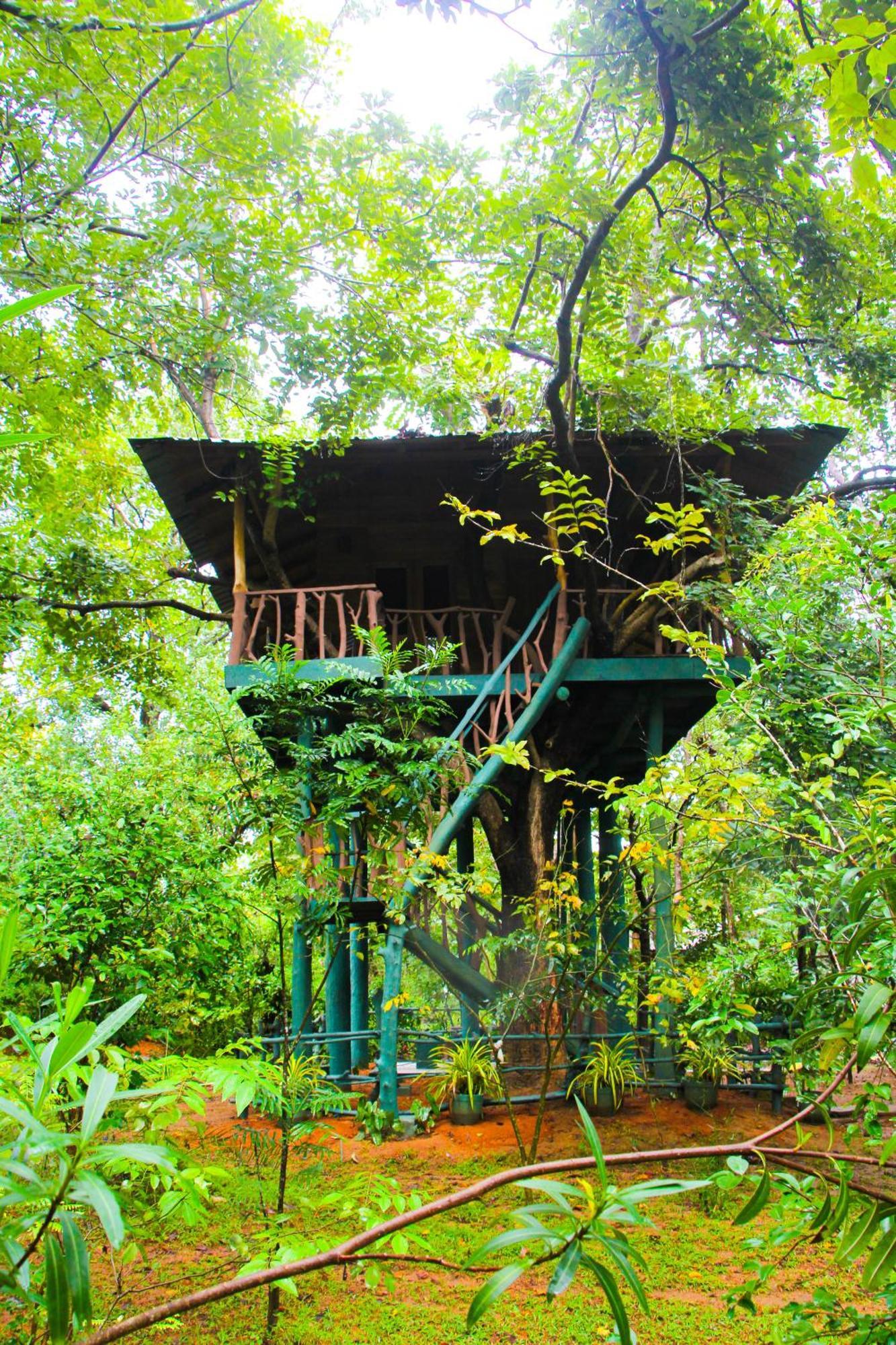 Lotus Eco Villa Sigiriya Luaran gambar