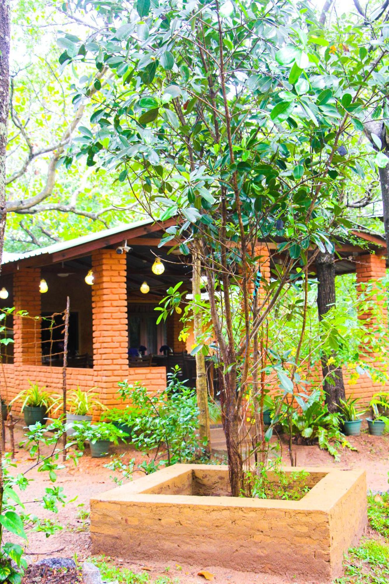Lotus Eco Villa Sigiriya Luaran gambar