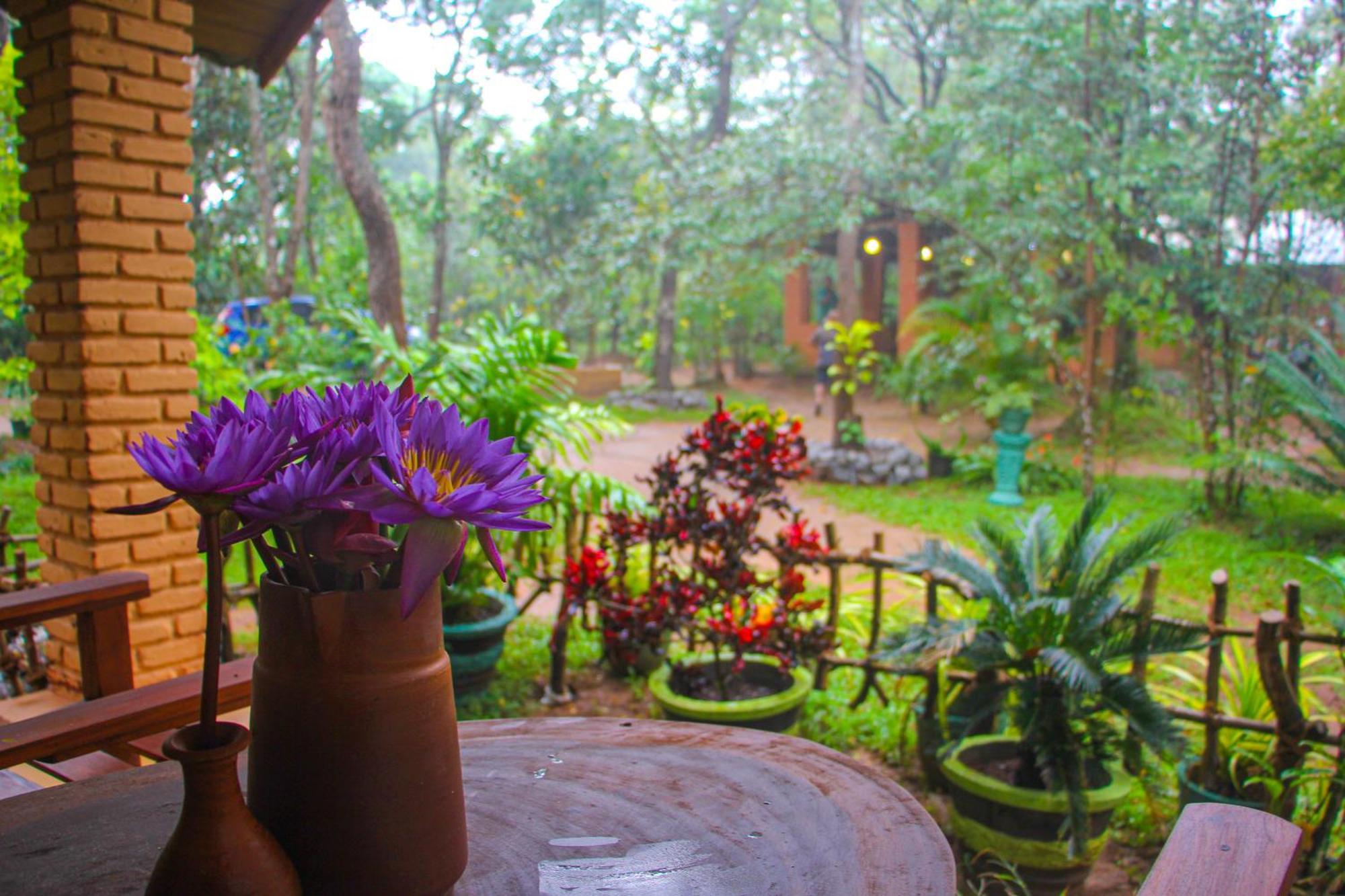 Lotus Eco Villa Sigiriya Luaran gambar